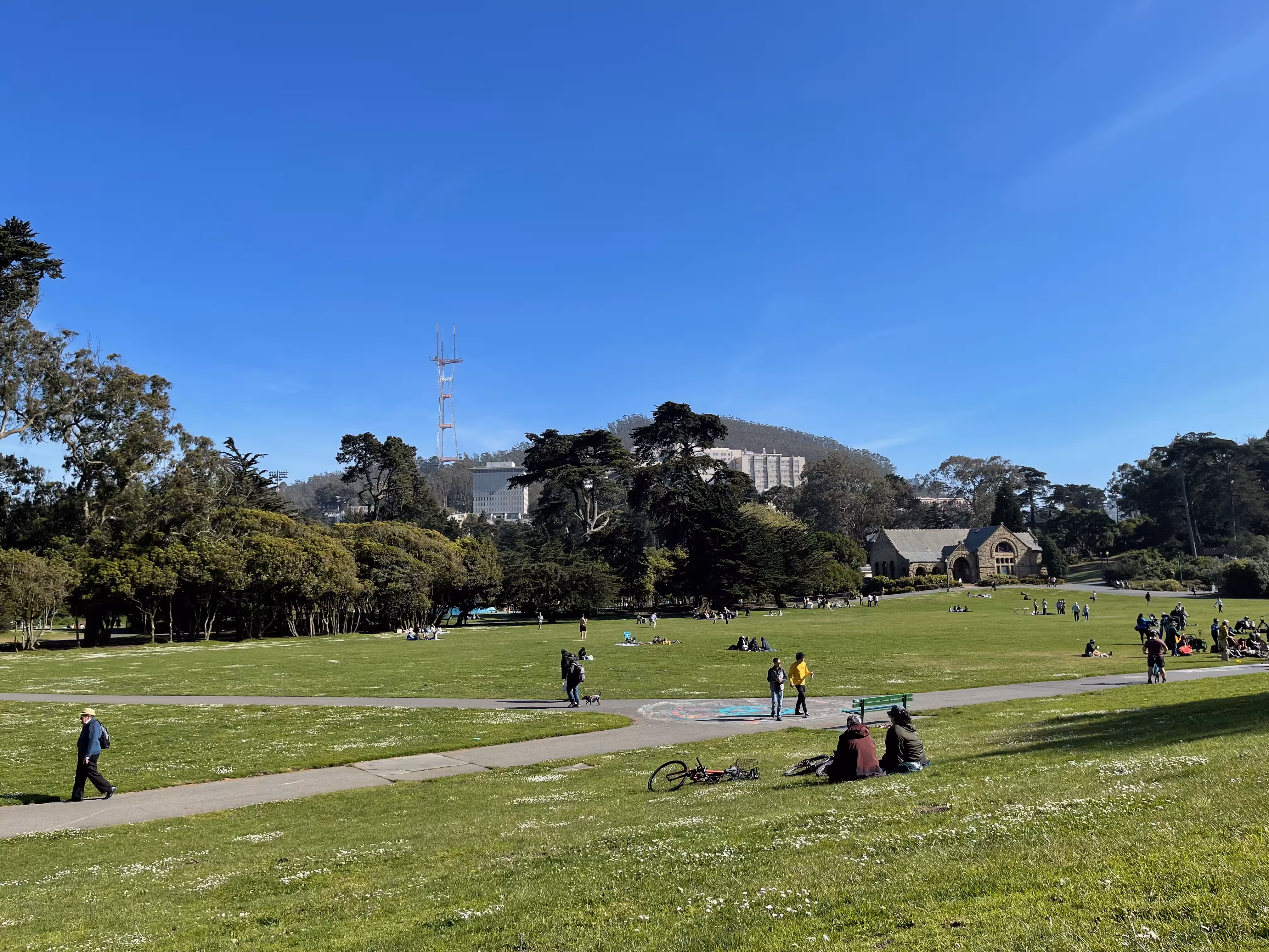 Sutro Tower, from hippie hill. Robin Williams meadow in the foreground. A drum circle is forming on the right.